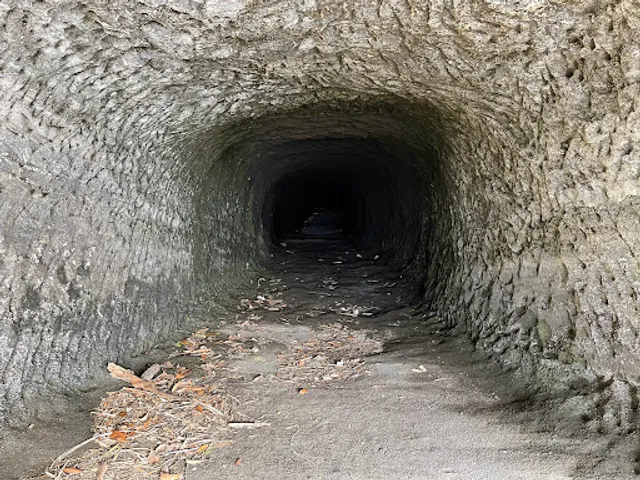 Shoreline Lawn Space