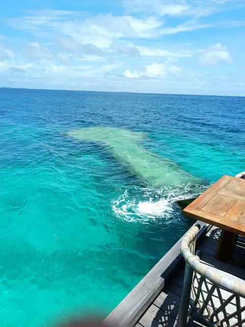 SEA Underwater Restaurant at Anantara Kihavah