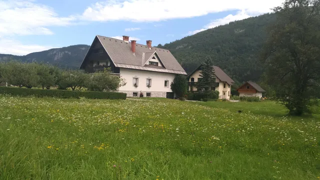 Pod Rodico Apartments