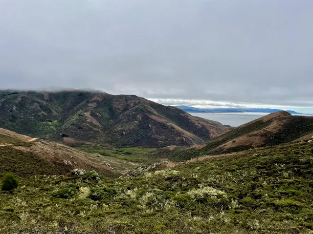 Fox, Coastal, Tennessee Valley, Wolf Ridge, Miwok and Old Springs Loop