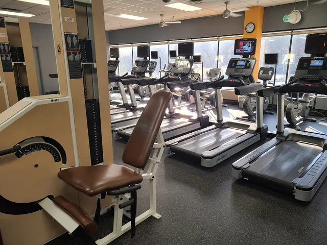 Mike Arteaga's Highland