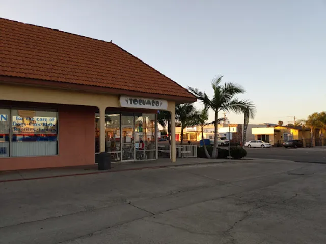 Tocumbo Ice Cream CV