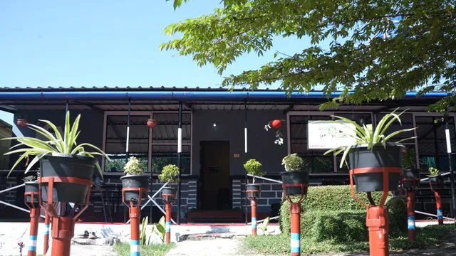 Wild Tusker masinagudi