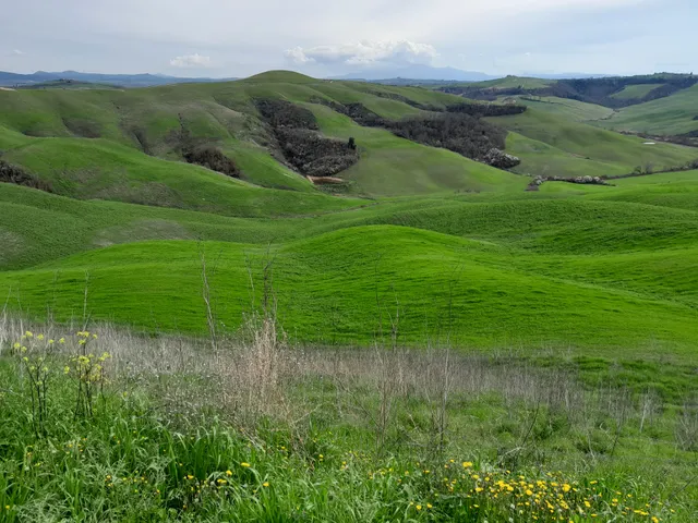 Crete Senesi Tipico Toscana