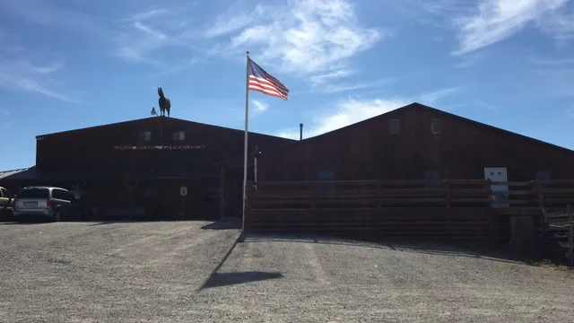 Lolli Livestock Market