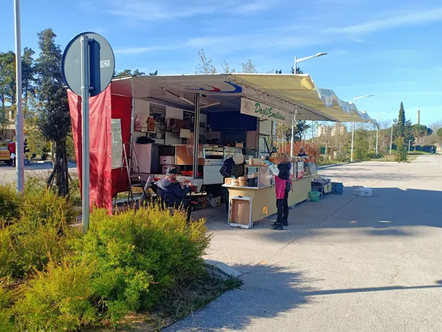 MERCATO DI FOLLONICA