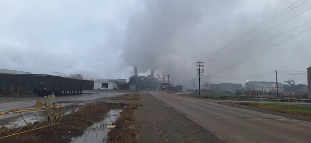 M. A. Patout & Son, LTD