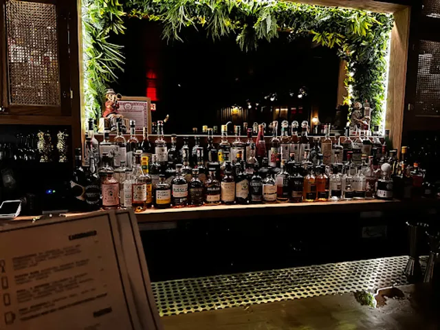 Ra-Ra Rhino (speakeasy thru the photobooth )