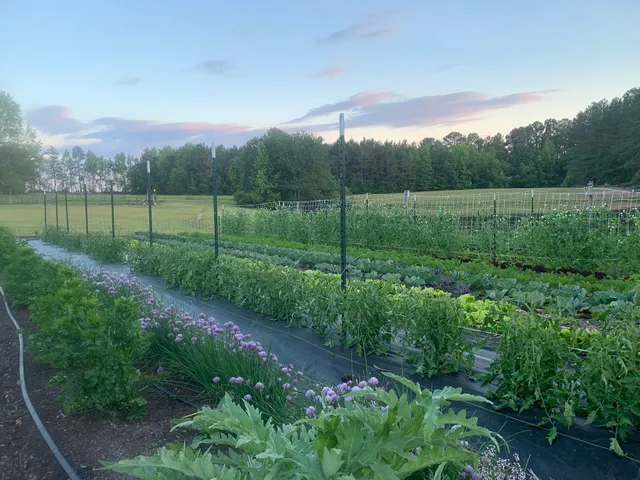 Lake Valley Farms, Inc.