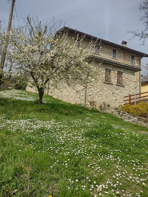 Azienda Agricola Agrituristica Cavallo Grigio di Botti Angelo