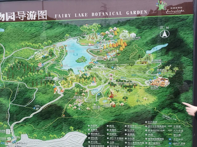 Shenzhen Fairy Lake Botanical Garden Parking Lot