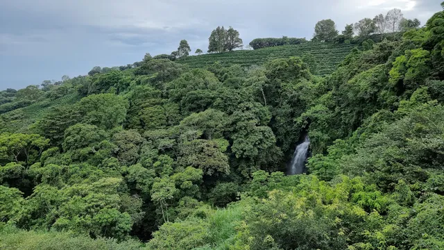 Hacienda Alsacia Visitor's Center