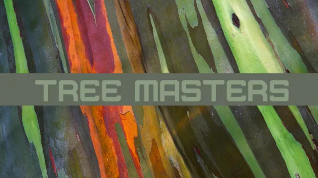Tree Masters