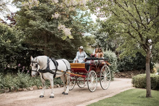 Classic Carriage Drives