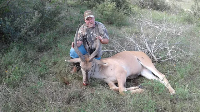 Texas Mountain Ranch