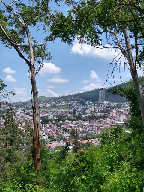 Francisco Zarco Park