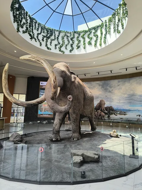 Museo del Mamut