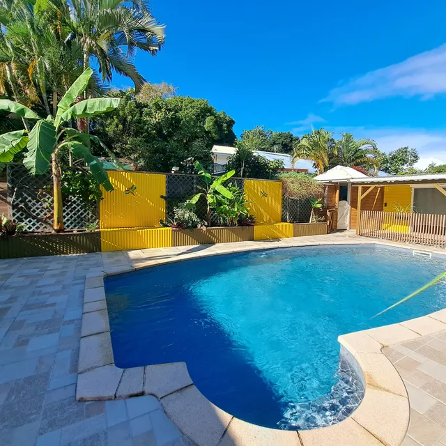 La libellule caribéenne