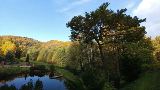 Apartament - Bukowy las