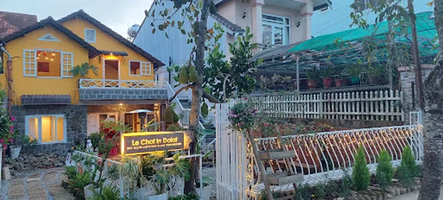 Le Chat In Dalat