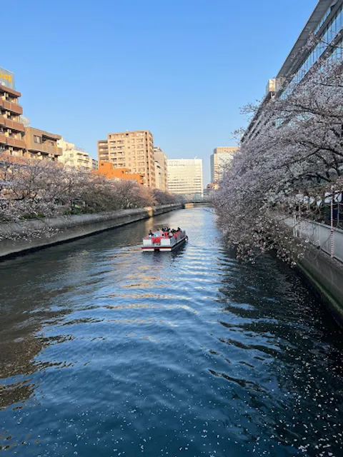 Oyoko River