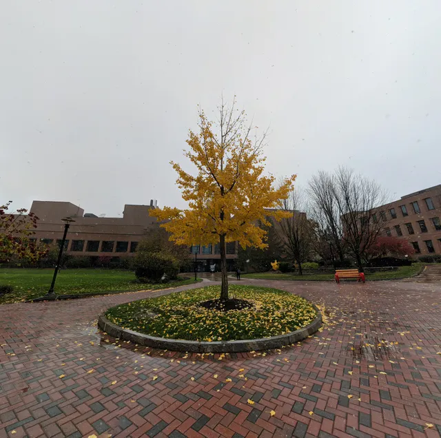 Rochester Institute of Technology