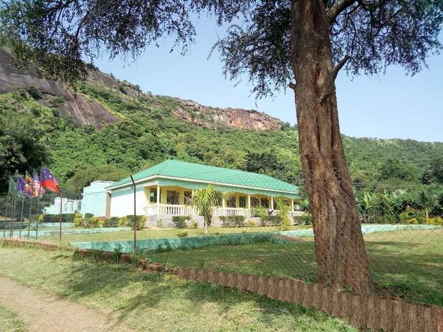 Green Oasis Guest House and Tours.