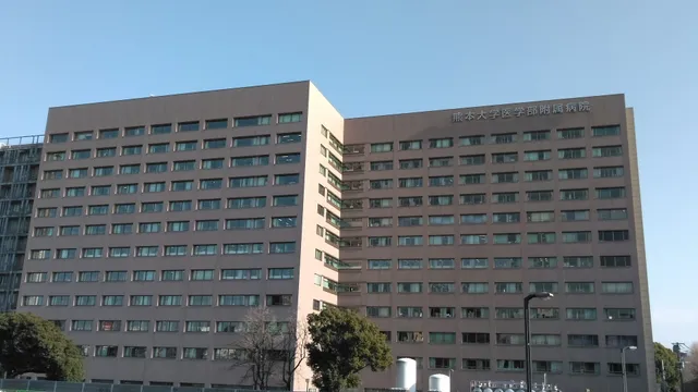 Kumamoto University School of Medicine