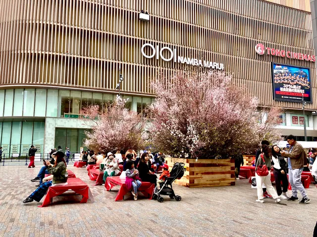 Namba Hiroba Square (Pedestrian Paradise)