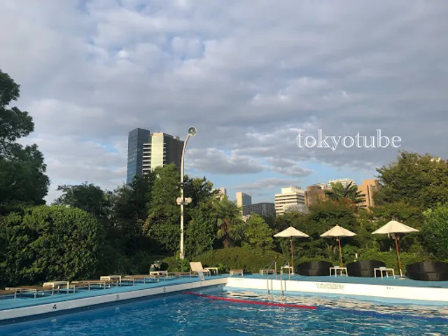 Garden Swimming Pool