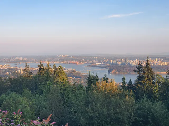 Cypress Village Pop-Up