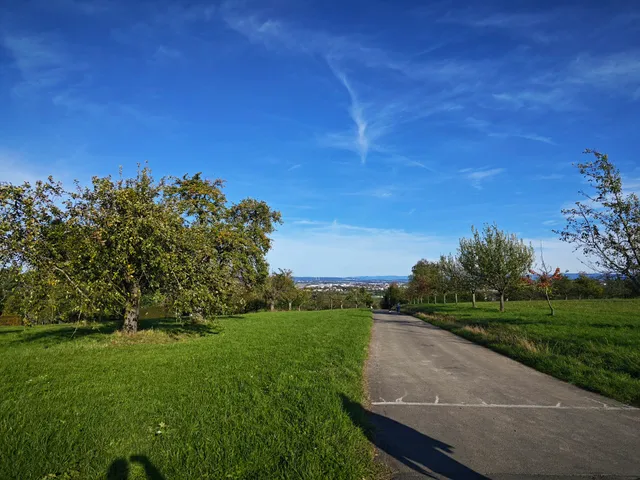 Aussichtspunkt Weidacher Höhe