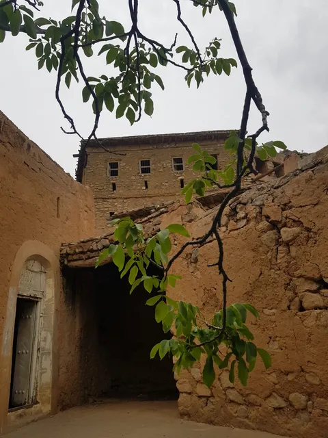 Mountin Peak قمة الجبل