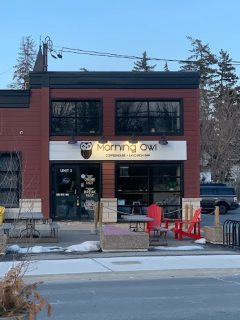 Morning Owl Manotick