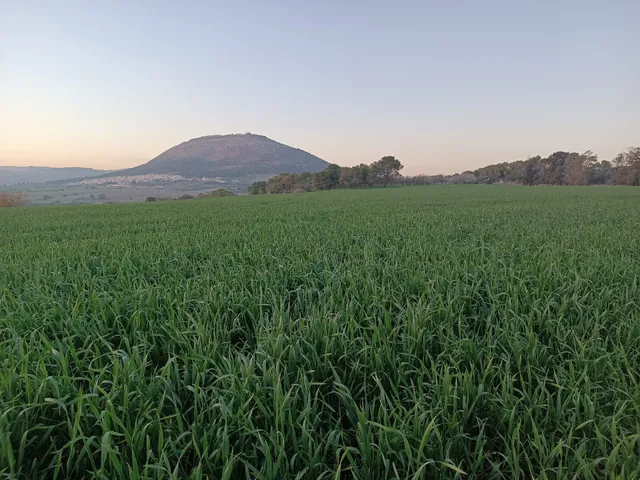 Galilee Best Location