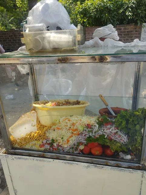 اسپیشل چنا چاٹ