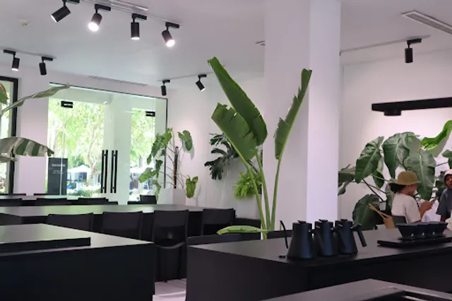 XLIII Specialty Coffee