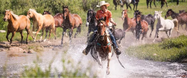Paradise Guest Ranch