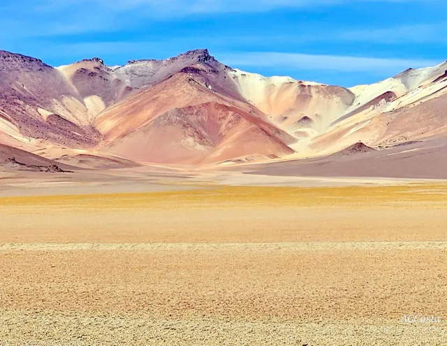 Salvador Dalí Desert