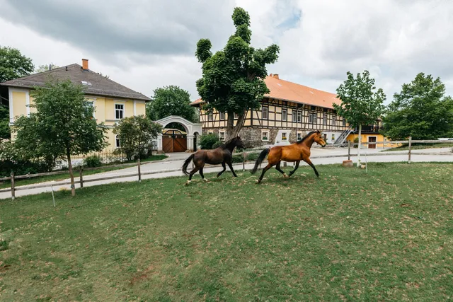 Rittergut Reudnitz - Lisa Hohmuth