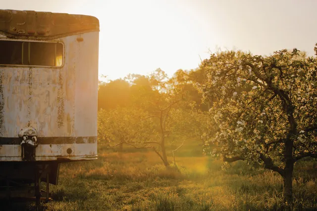 Folks Farm and Market