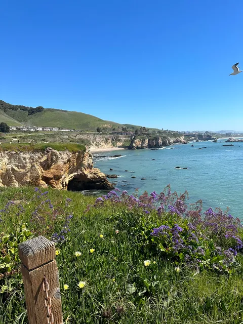 Art in the Park Shell Beach