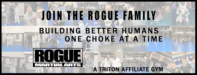 Rogue Martial Arts & Fitness