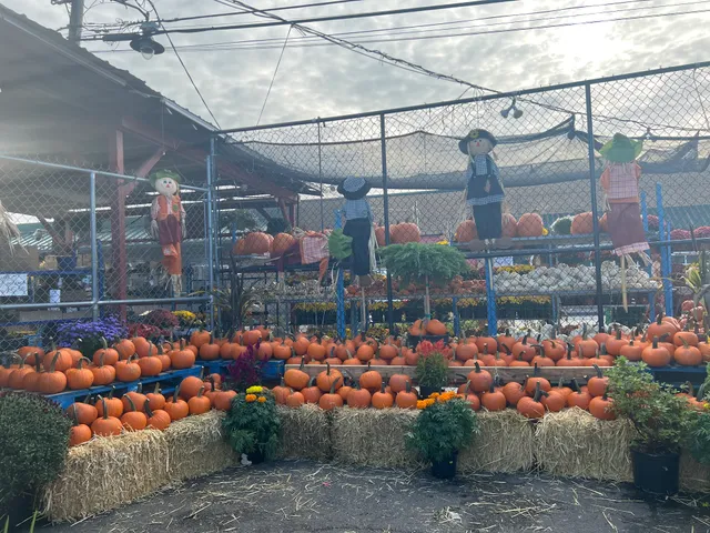 Ali’s Garden Center