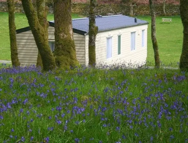 Dinas Caravan Park and Camping