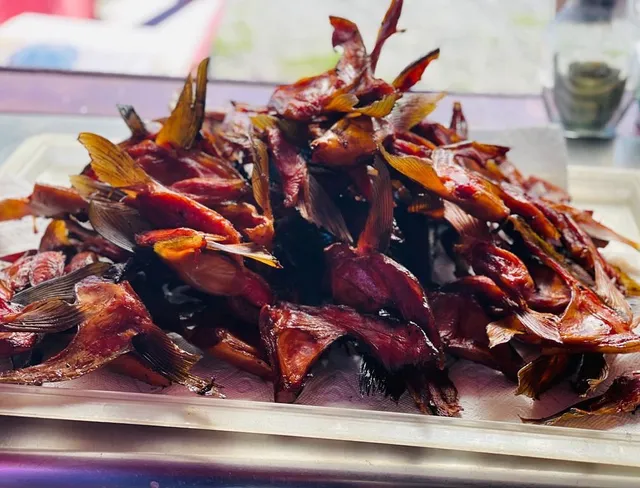 Wild Columbia Salmon