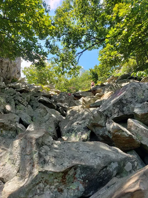 Pinnacle Mountain East Summit Trailhead