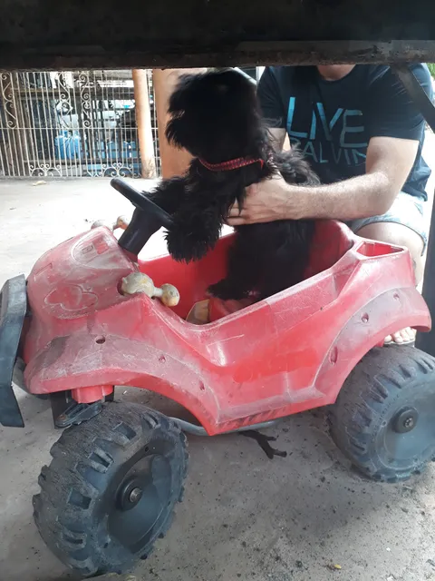 Restaurante Prazeres à Mesa