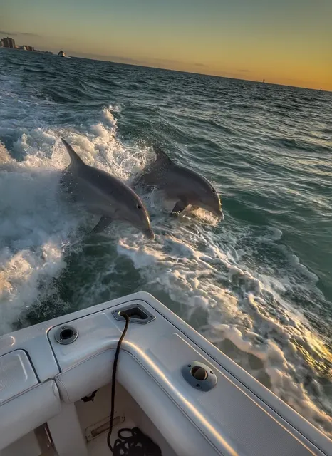 Clearwater Luxury Cruises