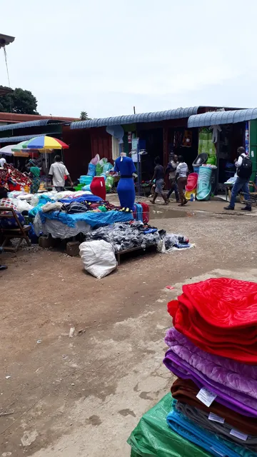 Comesa Market